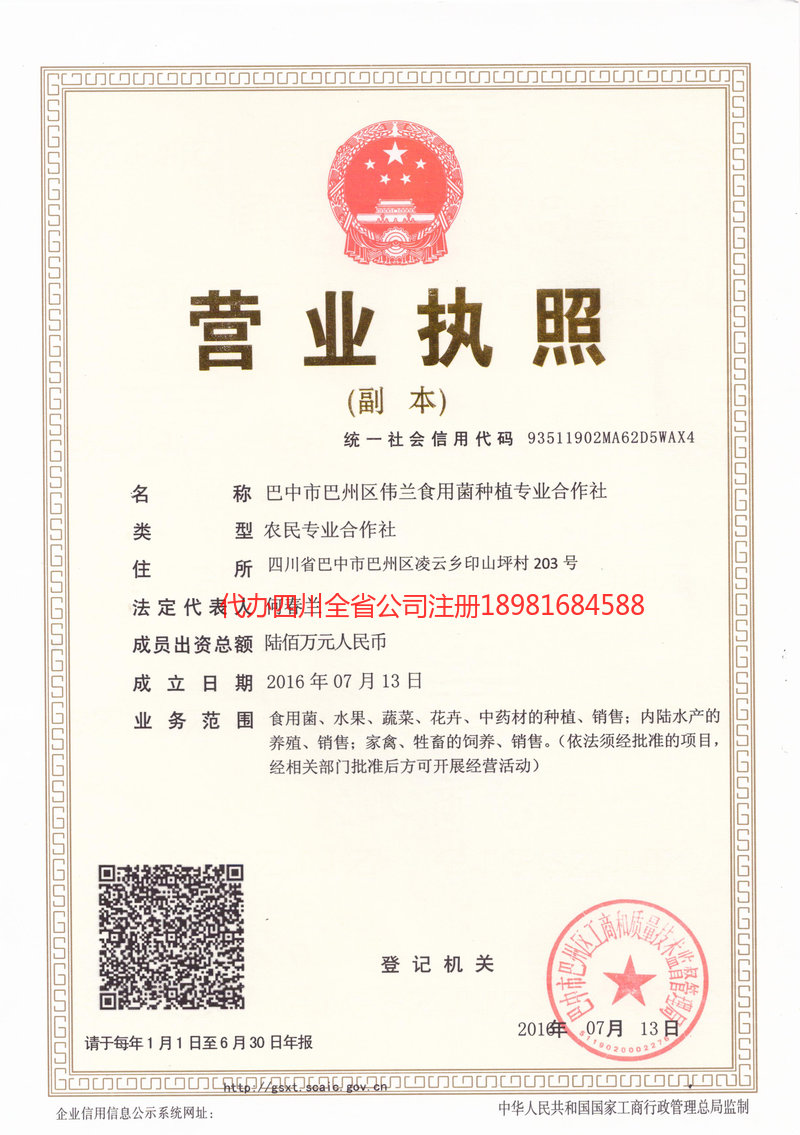 庄河庄河伟兰食用菌种植专业合作社